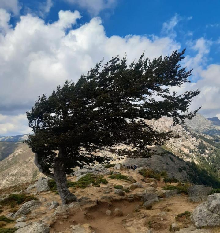 Bureau Montagne Balagne