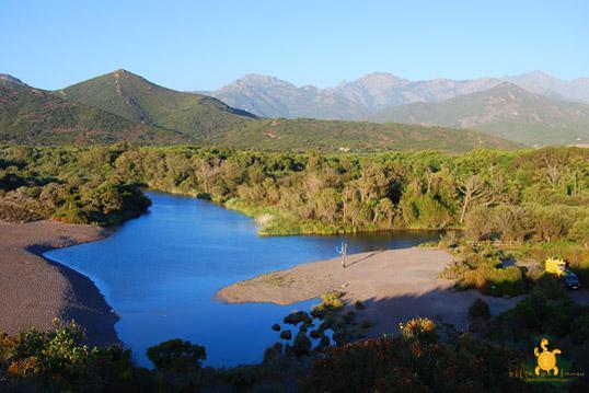Découverte écologique Corse
