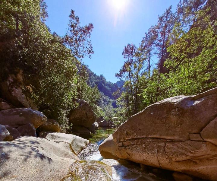 Location de vacances Corse