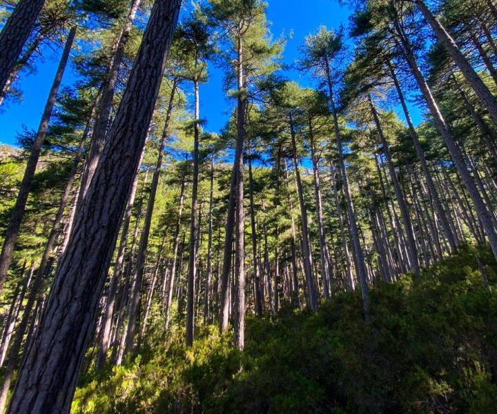 Une auberge de qualité en Corse