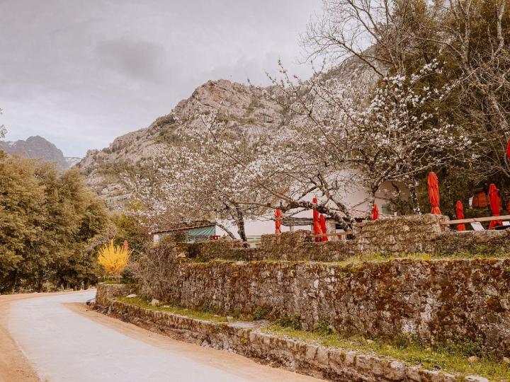 Location de vacances Corse